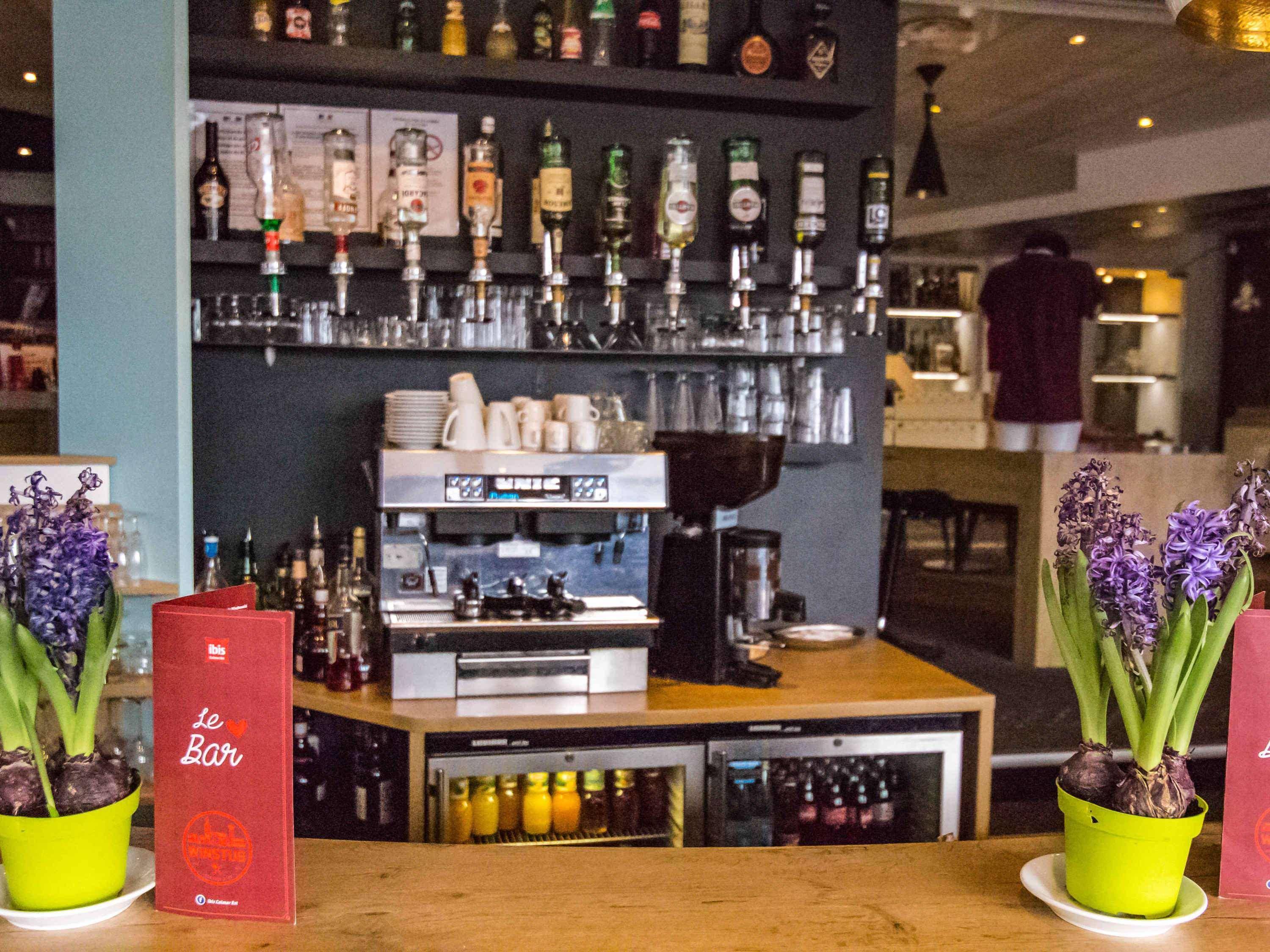 Ibis Colmar Est - Hotel Restaurant En Alsace Horbourg-Wihr Exterior foto